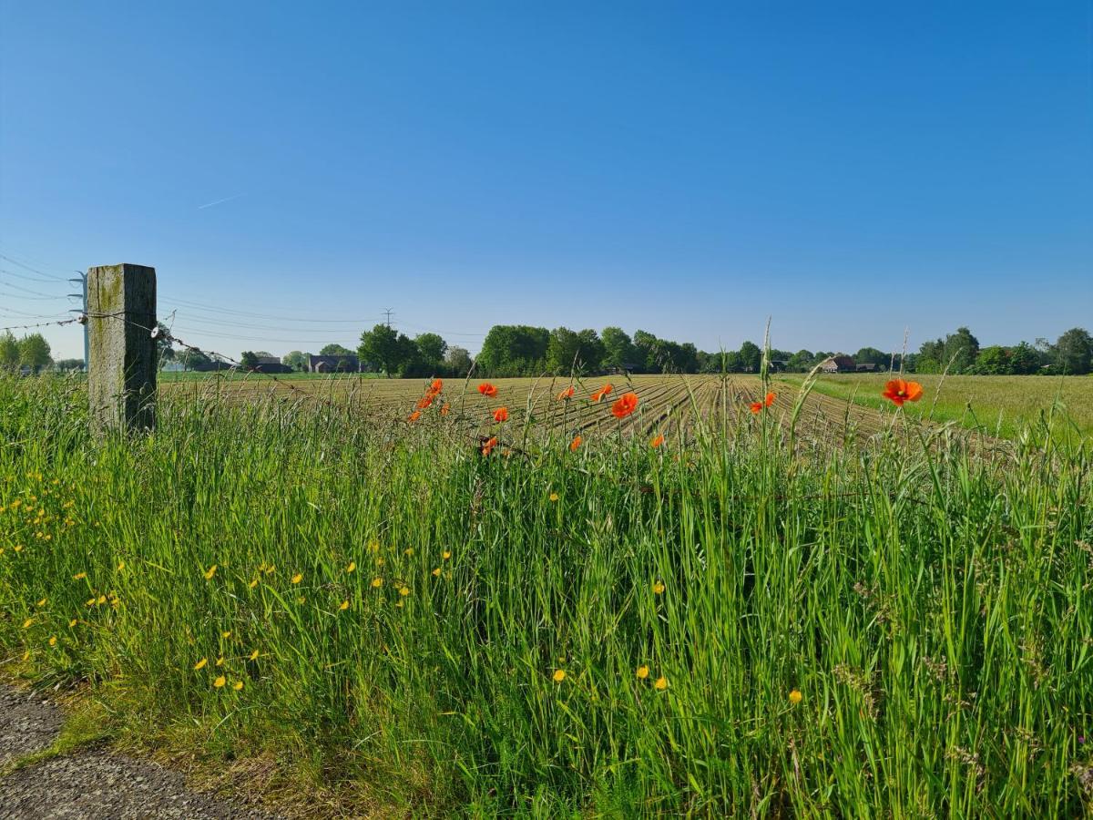Willa Tiny House In De Achterhoek Voorst  Zewnętrze zdjęcie